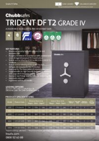 Trident DF T2 Grade IV spec sheet