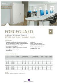 Insafe Chubbsafes - FORCEGUARD - V09.12.21